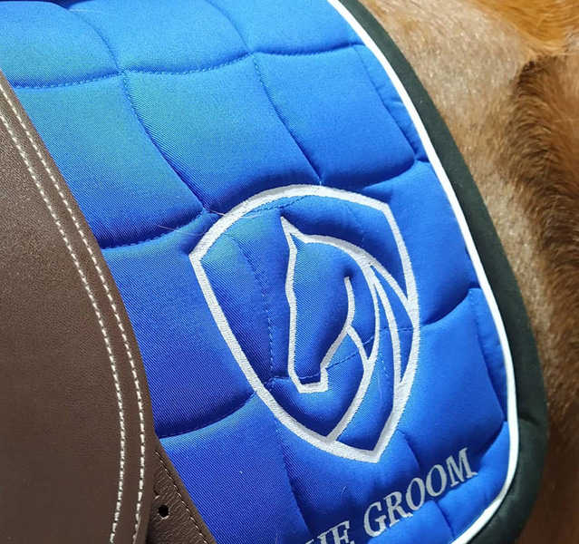 Borduren paardendeken